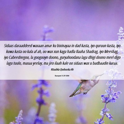 Picture 06 - Daanyeel 3:29 SOM - Sidaas daraaddeed waxaan amar ku bixinayaa in dad - Bible Verse Picture