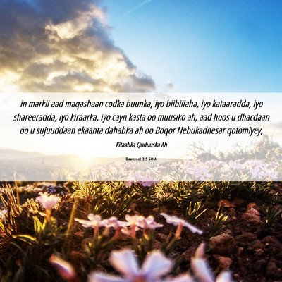 Picture 06 - Daanyeel 3:5 SOM - in markii aad maqashaan codka buunka, iyo - Bible Verse Picture