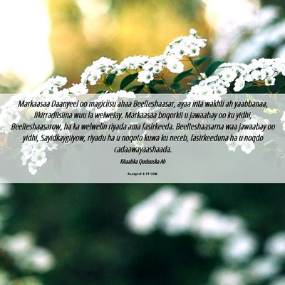 Picture 06 - Daanyeel 4:19 SOM - Markaasaa Daanyeel oo magiciisu ahaa - Bible Verse Picture