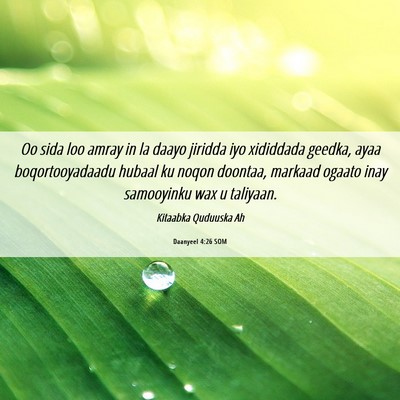 Picture 06 - Daanyeel 4:26 SOM - Oo sida loo amray in la daayo jiridda iyo - Bible Verse Picture