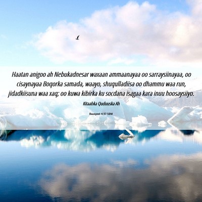 Picture 06 - Daanyeel 4:37 SOM - Haatan anigoo ah Nebukadnesar waxaan ammaanayaa - Bible Verse Picture