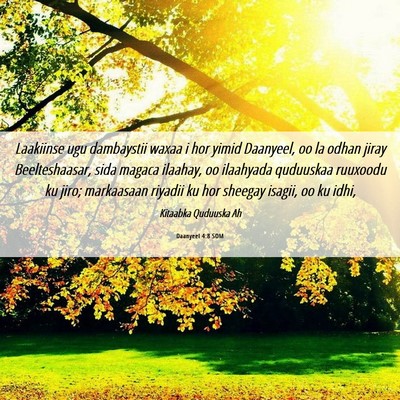 Picture 06 - Daanyeel 4:8 SOM - Laakiinse ugu dambaystii waxaa i hor yimid - Bible Verse Picture