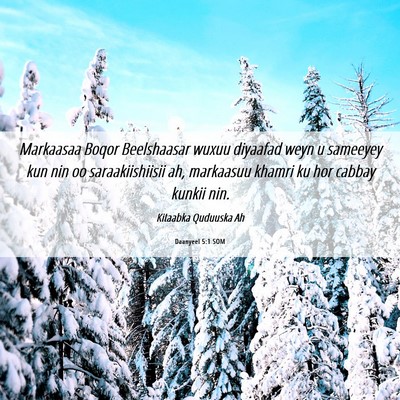 Picture 06 - Daanyeel 5:1 SOM - Markaasaa Boqor Beelshaasar wuxuu diyaafad weyn u - Bible Verse Picture