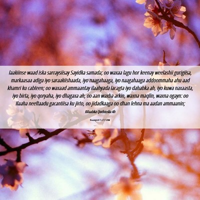 Picture 06 - Daanyeel 5:23 SOM - laakiinse waad iska sarraysiisay Sayidka samada; - Bible Verse Picture