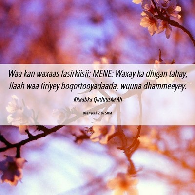 Picture 06 - Daanyeel 5:26 SOM - Waa kan waxaas fasirkiisii: MENE: Waxay ka dhigan - Bible Verse Picture