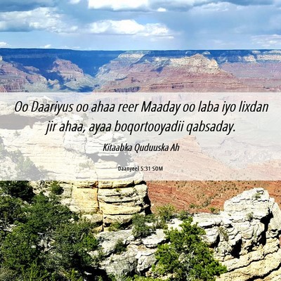 Picture 06 - Daanyeel 5:31 SOM - Oo Daariyus oo ahaa reer Maaday oo laba iyo - Bible Verse Picture