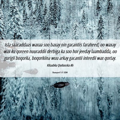 Picture 06 - Daanyeel 5:5 SOM - Isla saacaddaas waxaa soo baxay nin gacantiis - Bible Verse Picture