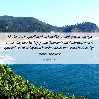 Picture 06 - Daanyeel 6:14 SOM - Markaasaa boqorkii markuu hadalkaas maqlay ayuu - Bible Verse Picture