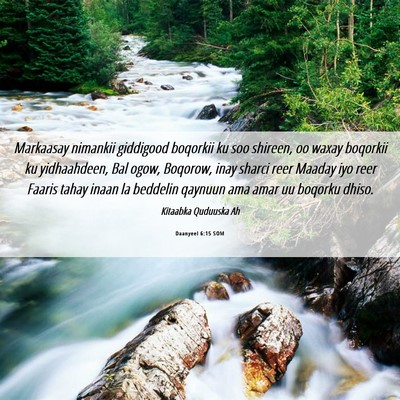 Picture 06 - Daanyeel 6:15 SOM - Markaasay nimankii giddigood boqorkii ku soo - Bible Verse Picture
