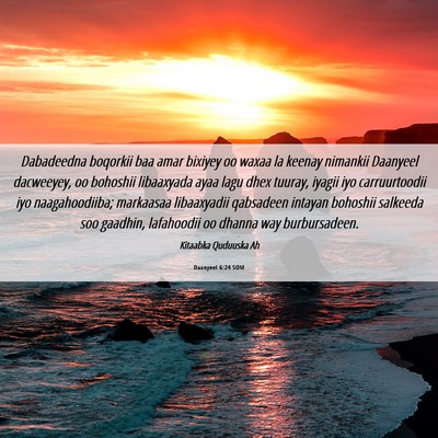 Picture 06 - Daanyeel 6:24 SOM - Dabadeedna boqorkii baa amar bixiyey oo waxaa la - Bible Verse Picture
