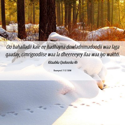 Picture 06 - Daanyeel 7:12 SOM - Oo bahalladii kale ee hadhayna dowladnimadoodii - Bible Verse Picture