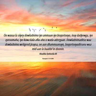 Picture 06 - Daanyeel 7:14 SOM - Oo waxaa la siiyey dowladnimo iyo ammaan iyo - Bible Verse Picture