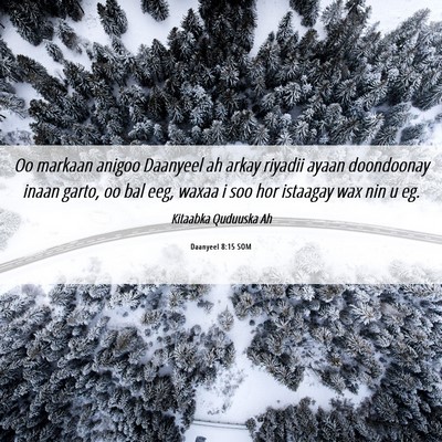 Picture 06 - Daanyeel 8:15 SOM - Oo markaan anigoo Daanyeel ah arkay riyadii ayaan - Bible Verse Picture
