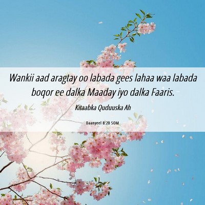 Picture 06 - Daanyeel 8:20 SOM - Wankii aad aragtay oo labada gees lahaa waa - Bible Verse Picture