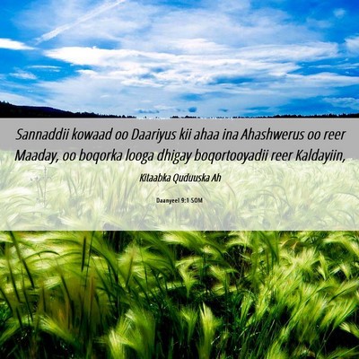 Picture 06 - Daanyeel 9:1 SOM - Sannaddii kowaad oo Daariyus kii ahaa ina - Bible Verse Picture