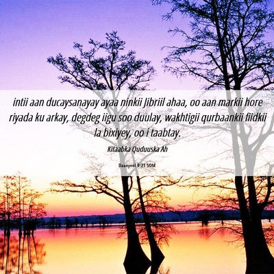 Picture 06 - Daanyeel 9:21 SOM - intii aan ducaysanayay ayaa ninkii Jibriil ahaa, - Bible Verse Picture