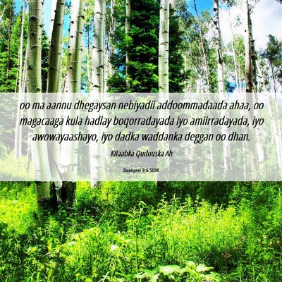 Picture 06 - Daanyeel 9:6 SOM - oo ma aannu dhegaysan nebiyadii addoommadaada - Bible Verse Picture