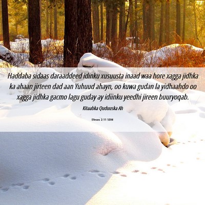 Picture 06 - Efesos 2:11 SOM - Haddaba sidaas daraaddeed idinku xusuusta inaad - Bible Verse Picture