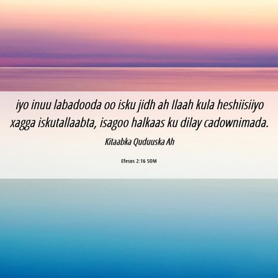Picture 06 - Efesos 2:16 SOM - iyo inuu labadooda oo isku jidh ah Ilaah kula - Bible Verse Picture