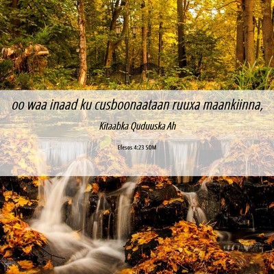 Picture 06 - Efesos 4:23 SOM - oo waa inaad ku cusboonaataan ruuxa - Bible Verse Picture