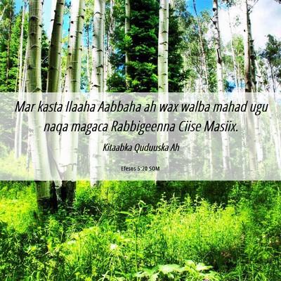 Picture 06 - Efesos 5:20 SOM - Mar kasta Ilaaha Aabbaha ah wax walba mahad ugu - Bible Verse Picture