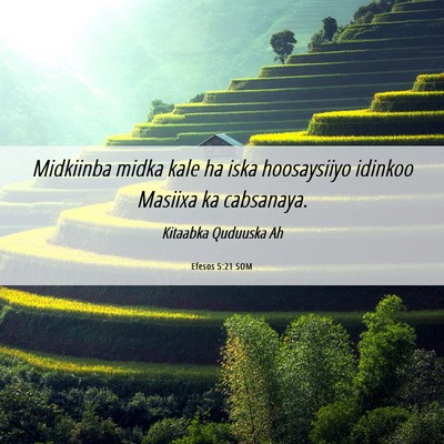 Picture 06 - Efesos 5:21 SOM - Midkiinba midka kale ha iska hoosaysiiyo idinkoo - Bible Verse Picture