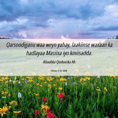 Picture 06 - Efesos 5:32 SOM - Qarsoodiganu waa weyn yahay, laakiinse waxaan ka - Bible Verse Picture