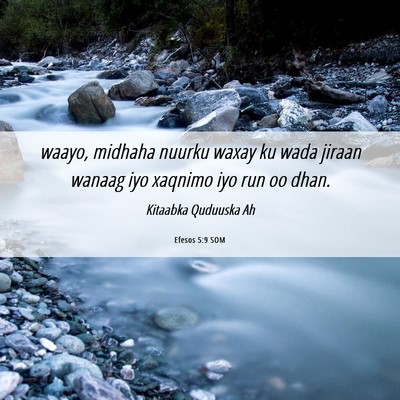 Picture 06 - Efesos 5:9 SOM - waayo, midhaha nuurku waxay ku wada jiraan wanaag - Bible Verse Picture