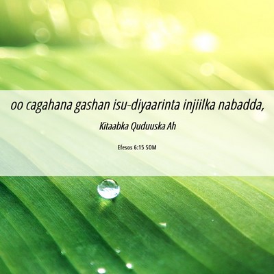 Picture 06 - Efesos 6:15 SOM - oo cagahana gashan isu-diyaarinta injiilka - Bible Verse Picture