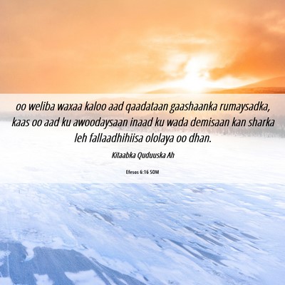 Picture 06 - Efesos 6:16 SOM - oo weliba waxaa kaloo aad qaadataan gaashaanka - Bible Verse Picture