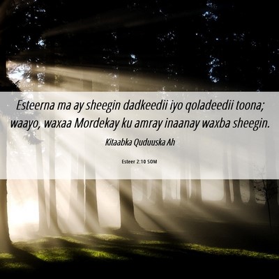 Picture 06 - Esteer 2:10 SOM - Esteerna ma ay sheegin dadkeedii iyo qoladeedii - Bible Verse Picture