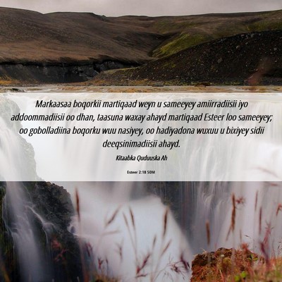 Picture 06 - Esteer 2:18 SOM - Markaasaa boqorkii martiqaad weyn u sameeyey - Bible Verse Picture