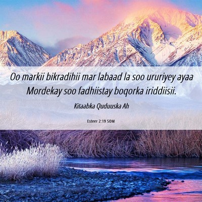 Picture 06 - Esteer 2:19 SOM - Oo markii bikradihii mar labaad la soo ururiyey - Bible Verse Picture