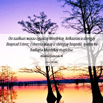 Picture 06 - Esteer 2:22 SOM - Oo xaalkaas waxaa ogaaday Mordekay, kolkaasuu u - Bible Verse Picture