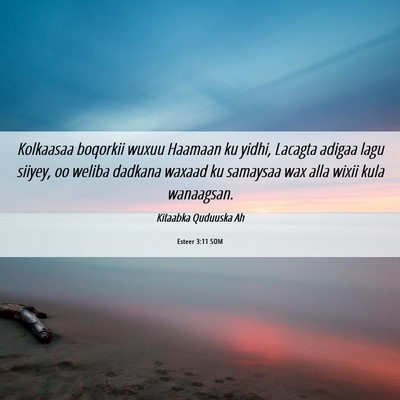 Picture 06 - Esteer 3:11 SOM - Kolkaasaa boqorkii wuxuu Haamaan ku yidhi, - Bible Verse Picture