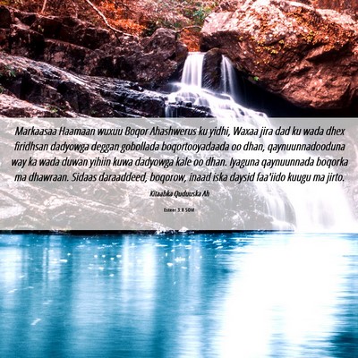 Picture 06 - Esteer 3:8 SOM - Markaasaa Haamaan wuxuu Boqor Ahashwerus ku - Bible Verse Picture