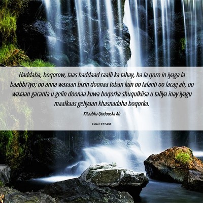 Picture 06 - Esteer 3:9 SOM - Haddaba, boqorow, taas haddaad raalli ka tahay, - Bible Verse Picture
