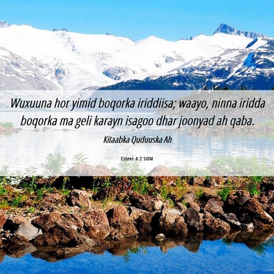 Picture 06 - Esteer 4:2 SOM - Wuxuuna hor yimid boqorka iriddiisa; waayo, ninna - Bible Verse Picture