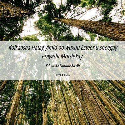 Picture 06 - Esteer 4:9 SOM - Kolkaasaa Hatag yimid oo wuxuu Esteer u sheegay - Bible Verse Picture
