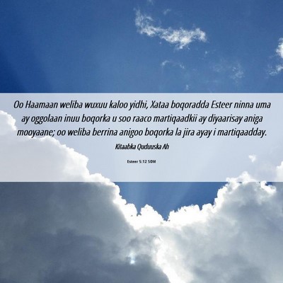 Picture 06 - Esteer 5:12 SOM - Oo Haamaan weliba wuxuu kaloo yidhi, Xataa - Bible Verse Picture