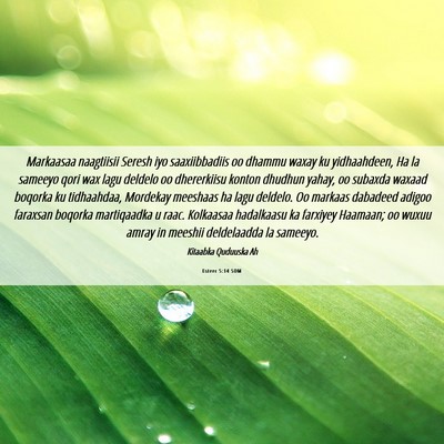Picture 06 - Esteer 5:14 SOM - Markaasaa naagtiisii Seresh iyo saaxiibbadiis oo - Bible Verse Picture