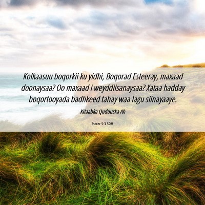 Picture 06 - Esteer 5:3 SOM - Kolkaasuu boqorkii ku yidhi, Boqorad Esteeray, - Bible Verse Picture