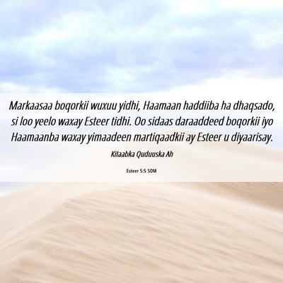 Picture 06 - Esteer 5:5 SOM - Markaasaa boqorkii wuxuu yidhi, Haamaan haddiiba - Bible Verse Picture