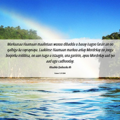 Picture 06 - Esteer 5:9 SOM - Markaasaa Haamaan maalintaas wuxuu dibadda u - Bible Verse Picture