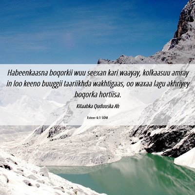 Picture 06 - Esteer 6:1 SOM - Habeenkaasna boqorkii wuu seexan kari waayay, - Bible Verse Picture