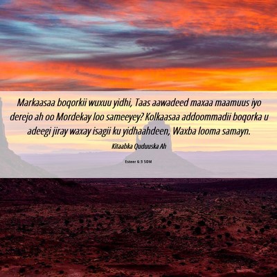 Picture 06 - Esteer 6:3 SOM - Markaasaa boqorkii wuxuu yidhi, Taas aawadeed - Bible Verse Picture