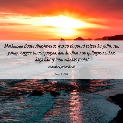Picture 06 - Esteer 7:5 SOM - Markaasaa Boqor Ahashwerus wuxuu Boqorad Esteer - Bible Verse Picture