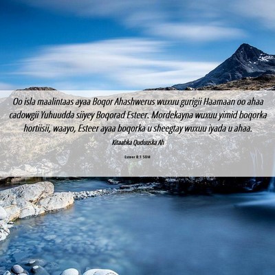 Picture 06 - Esteer 8:1 SOM - Oo isla maalintaas ayaa Boqor Ahashwerus wuxuu - Bible Verse Picture