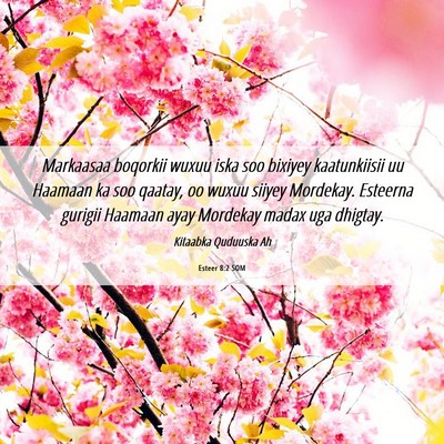Picture 06 - Esteer 8:2 SOM - Markaasaa boqorkii wuxuu iska soo bixiyey - Bible Verse Picture