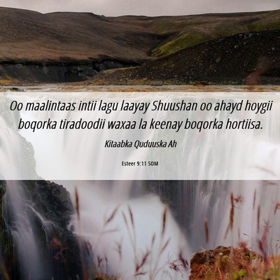 Picture 06 - Esteer 9:11 SOM - Oo maalintaas intii lagu laayay Shuushan oo ahayd - Bible Verse Picture